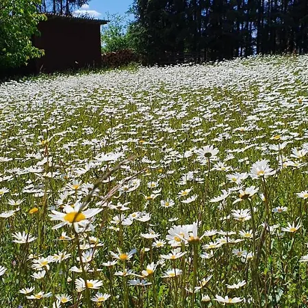 Moderne Mit Eigenem Garten Und Traumhaften Blick *