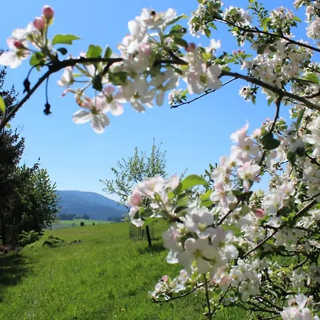 Lägenhet Moderne Mit Eigenem Garten Und Traumhaften Blick *