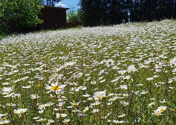 Moderne Mit Eigenem Garten Und Traumhaften Blick *