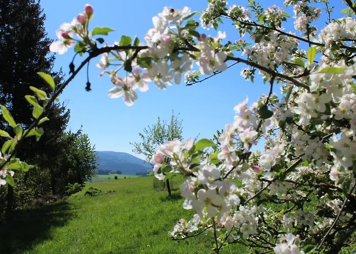 公寓 Moderne Mit Eigenem Garten Und Traumhaften Blick *